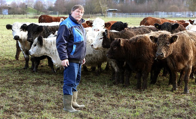 Auf der Winterweide auf dem Lahrer Flugplatz: Konrad Mast und seine Galloways.  | Foto: christoph breithaupt