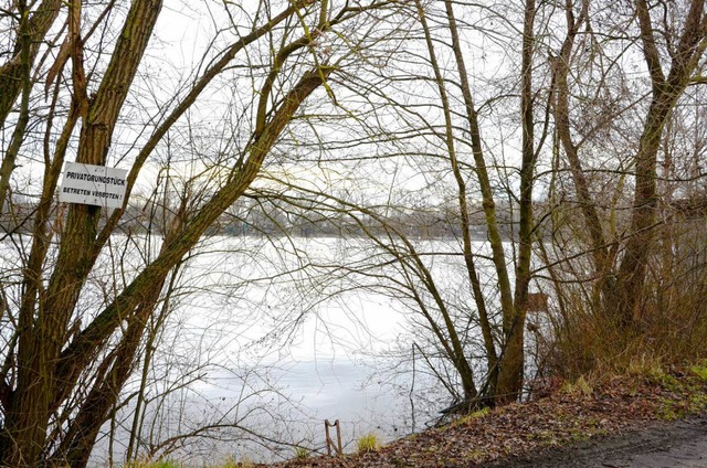 Vorwurf Tierqulerei: Das Ufer des Dac...rgangener Woche im ffentlichen Fokus.  | Foto: Martin Herceg