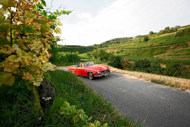 Unterwegs in den Weinbergen des Kaiser...Badische Weinstrae wird 60 Jahre alt.  | Foto:  TMBW/ Dpper