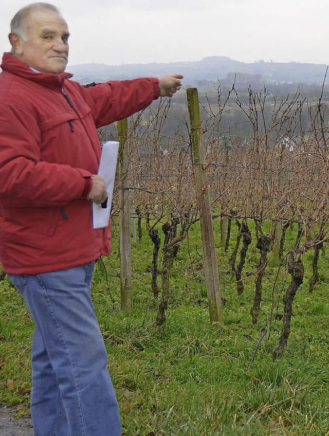 Wallburgs Ortsvorsteher Manfred Schpf...r einen Teil eine Option auf Bauland.  | Foto: Fischer