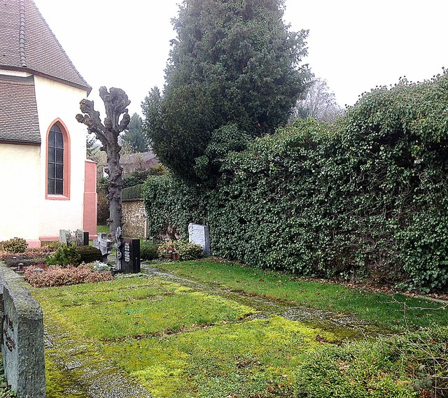 An einem mit Efeu bewachsenen Teil der...Kirche wre Platz fr eine Urnenwand.   | Foto: Jutta  Schtz