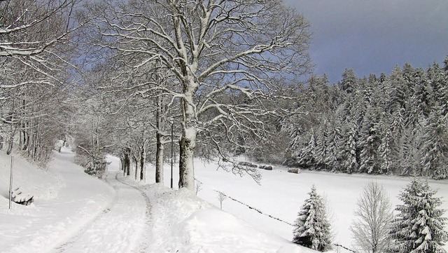 Winterliches St. Mrgen  | Foto: Heinrich Fehrenbach