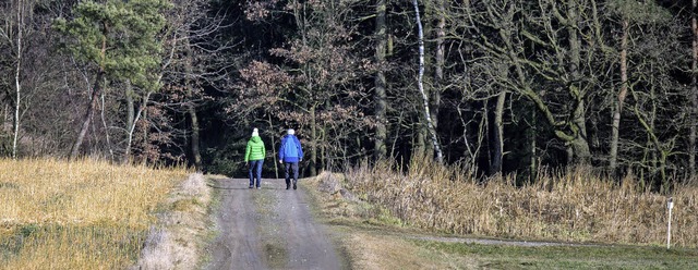 Wandern macht Spa, besonders, wenn es...rern des Schwarzwaldvereins geschieht.  | Foto: dpa
