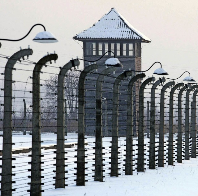 Zaun und Wachturm im Konzentrationslager  Auschwitz-Birkenau   | Foto: dpa