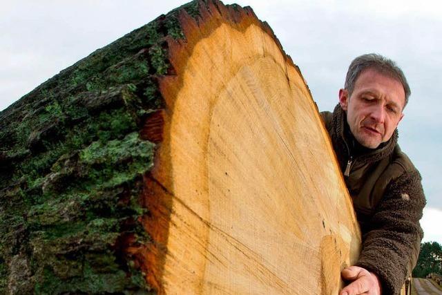 Bauern sollen Holz selbst verkaufen