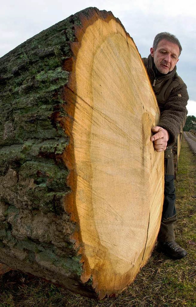 Die Forstverwaltung hilft Waldbesitzern beim Verkauf von Holz.  | Foto: ZB