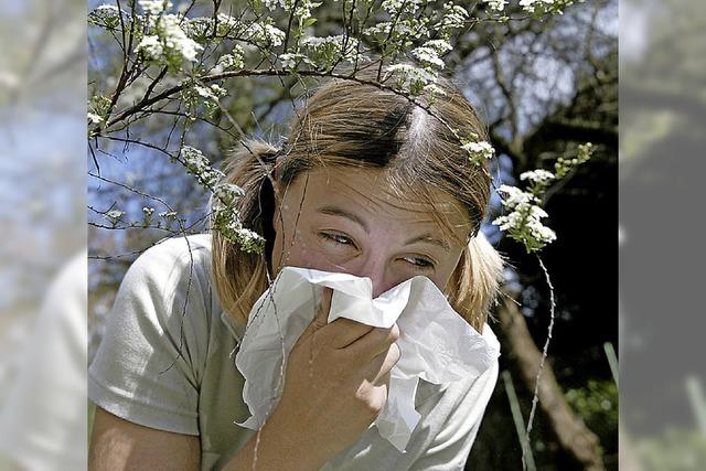 Allergiealarm im Winter