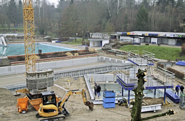 Die Sanierung des Herbolzheimer Schwim...ten und verbessert die Wasserqualitt.  | Foto: Thilo bergmann