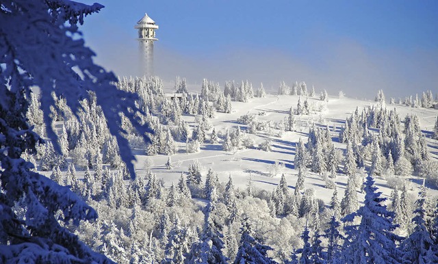 Skifahrers Tagtraum: Die alpinen Skire... berzuckerte Winterwunderlandschaft.   | Foto: gudrun hauck
