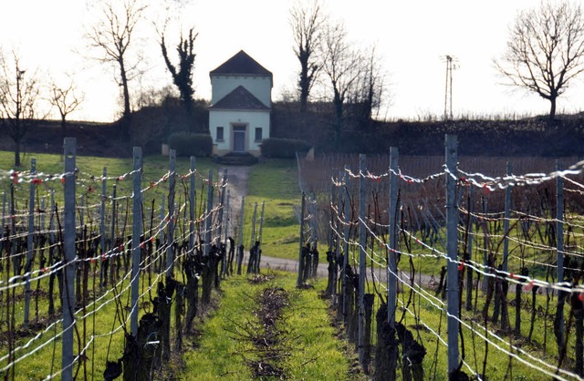 Der Hachberg soll der landwirtschaftli... und dem Weinbau vorbehalten bleiben.   | Foto: Sigrid Umiger