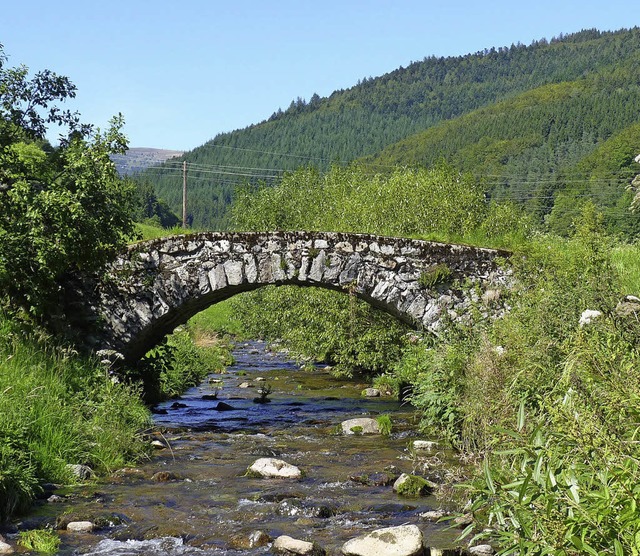 Wald, Wasser und Berge sollen als Moti...Gemeindewappen des Kleinen Wiesentals.  | Foto: Sattelberger