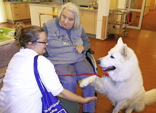 Hundefhrerin Stefanie Fechtig bringt Freude mit.   | Foto: ZVG
