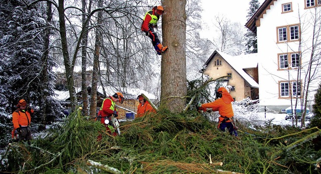 Bevor die groen Tannen gefllt werden...rstung machten dies die Waldarbeiter.  | Foto: Horst A. Bss
