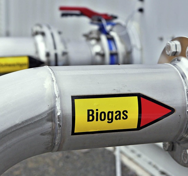 Biogas fr Friesenheim   | Foto: dpa