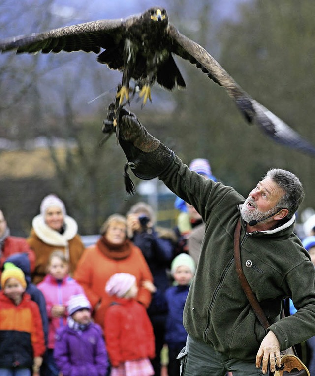 Greifvogelschau des Falkners Franz Ruc...eine Flugknste unter Beweis (unten).   | Foto: Wolf-Wilhelm Adam