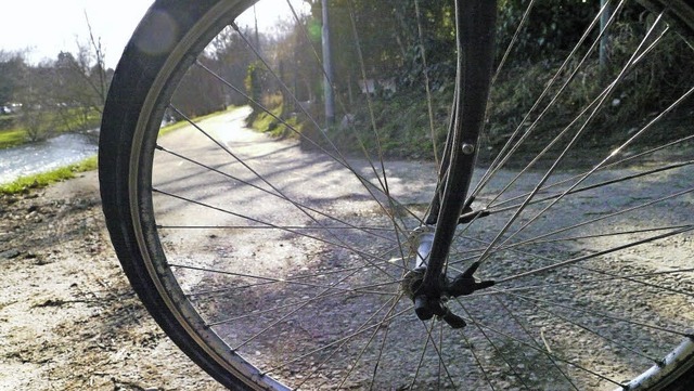 Bei der Stettener Wiesebrcke heit es...r kleinen Lcke  nicht erreichbar ist.  | Foto: Willi Adam