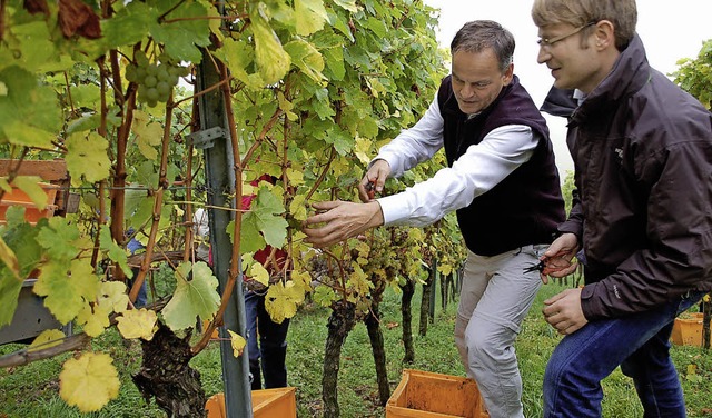 Auch Landrat Frank Scherer (links) hal...uts Schloss Ortenberg bestellt wurde.   | Foto: archivfoto: hubert rderer