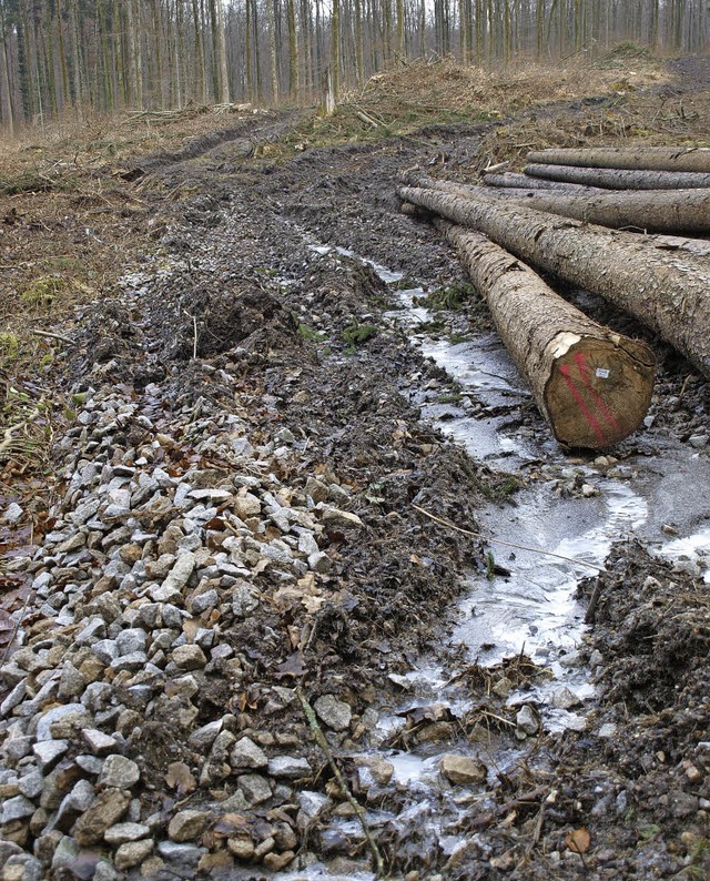 Schden durch Waldarbeiten   | Foto: Paul Schleer