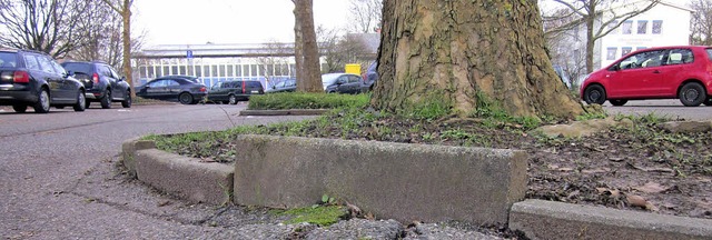 Standsicherheit in Gefahr:  Baumgutach...f dem Parkplatz an der Vogesenstrae.   | Foto: Gertrude Siefke