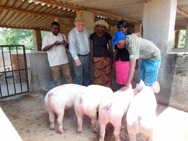 Glcksschweine: In Simbawe  will Vertr...ren. Rechts :  Schweinemeister Tendai.  | Foto: Privat