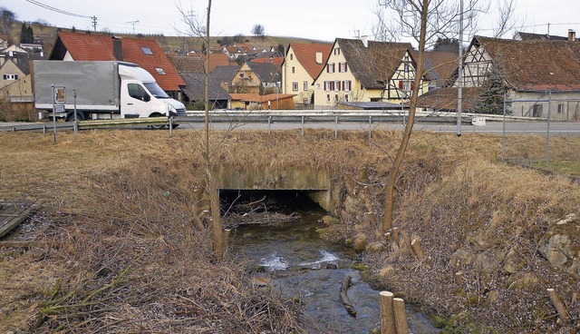 Zwei neue Brcken und 330  Meter Geh- ...dweg sollen bei Welmlingen entstehen.   | Foto: langelott