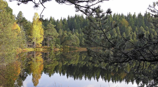 Der Blindensee im Sdschwarzwald wird ...rtsgruppe Hinterzarten-Breitnau sein.   | Foto: Archivfoto: Franz Dannecker