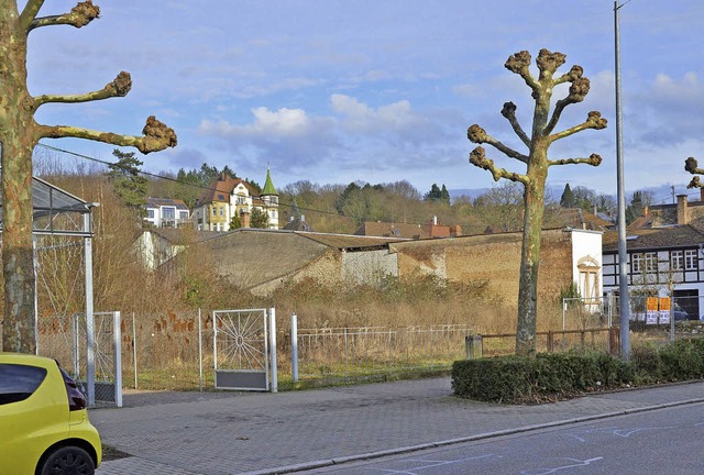 Wie die Bebauung zwischen dem Blumenha...dt Teilbereich I&#8220; geklrt werden  | Foto: Gerhard Walser