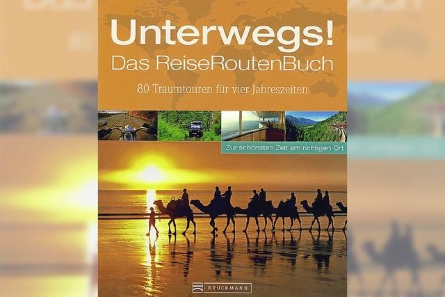 Klaus Viedebantt: Das Reiseroutenbuch