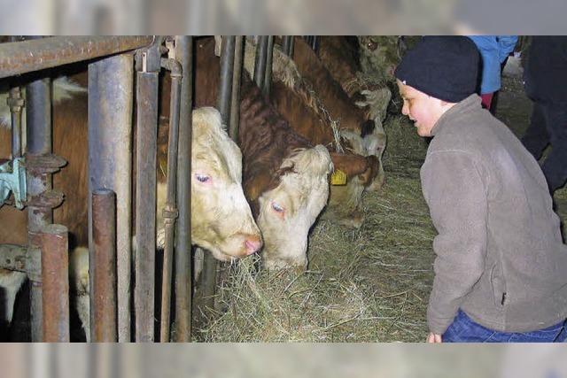 Bauern wollen Kinder begeistern