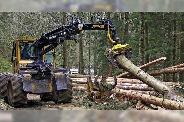 Holzvermarktung ist nicht alles