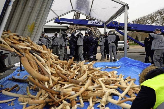 698 Stozhne in Paris geschreddert