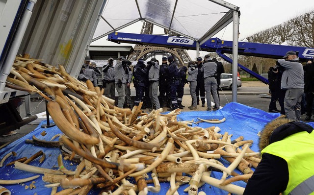 Stozhne werden zu Pulver &#8211; und das direkt vor dem Eiffelturm.   | Foto: AFP