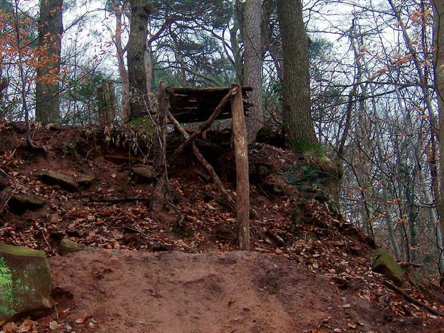 Sorgt bei Radfahrern fr den Kick, bei...e Downhill-Schanze im Lahrer Stadtwald  | Foto: Stadt Lahr