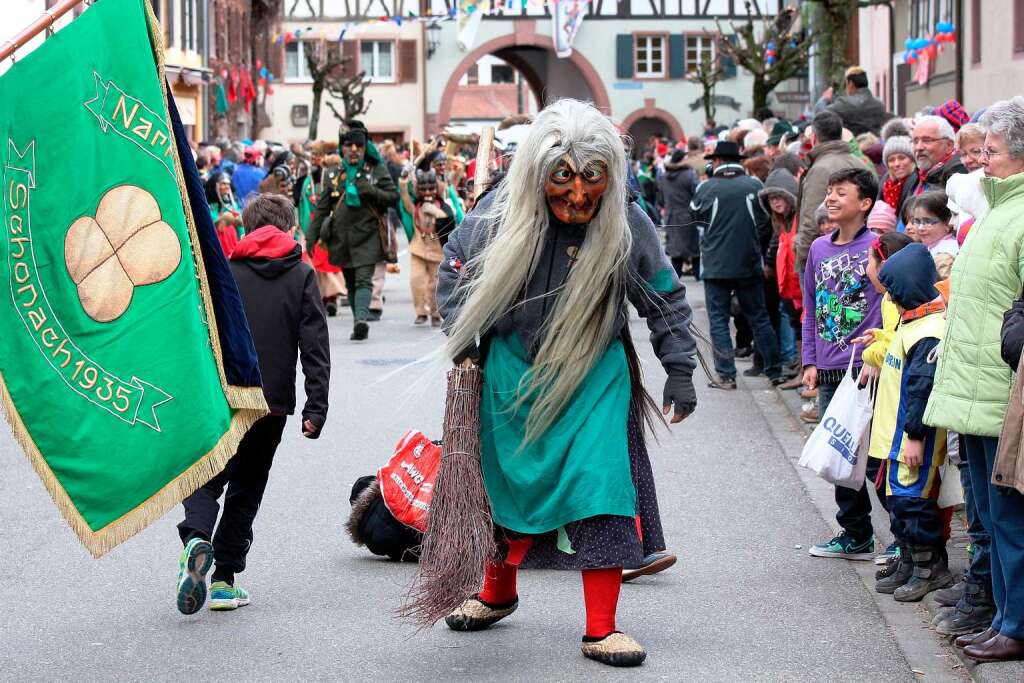 Impressionen vom Narrentreffen in Kenzingen