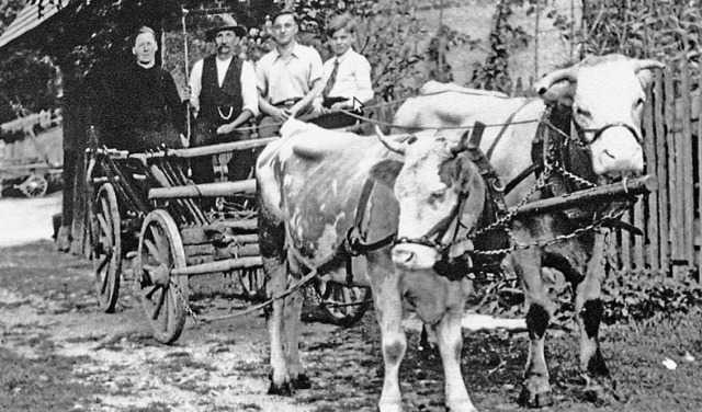 Alltagsszene aus dem alten Ebringen: D...lass des Fotografen  Sylvester Franz.   | Foto: privat