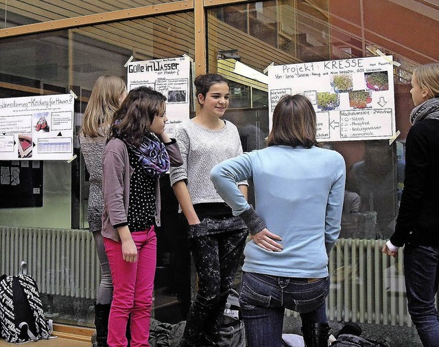 ber einen lngeren Zeitraum beschfti...men und zeigten sie ihren Mitschlern.  | Foto: GSG