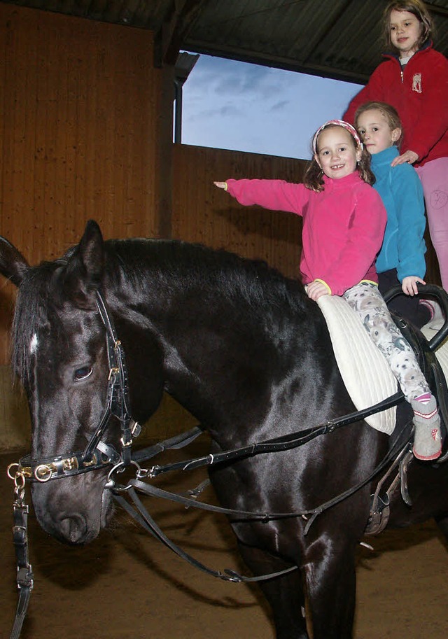 Turnen auf vier Beinen / Beim Reitclub...en knnen Jugendliche voltieren lernen  | Foto: Andrea Steinhart