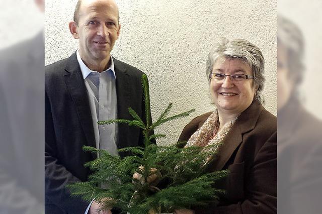 Weihnachtsbaum geht 2016 nach Berlin