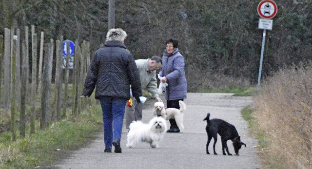Hundehalter sind in Haltingen gerne au...g der Heinrich-Haas-Strae unterwegs.   | Foto: Lauber