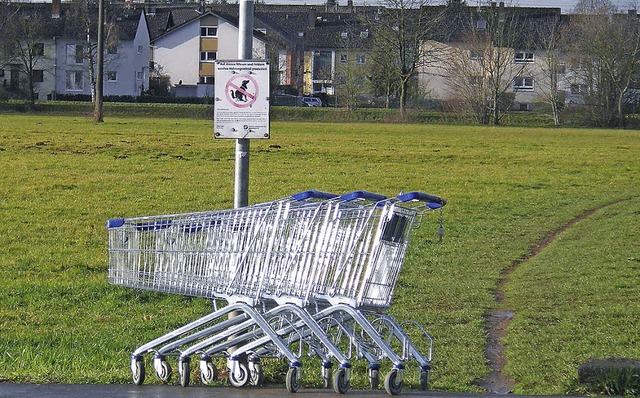 Auf der grnen Wiese<ppp></ppp> drei Einkaufswagen!  | Foto: Dorothea Steiert