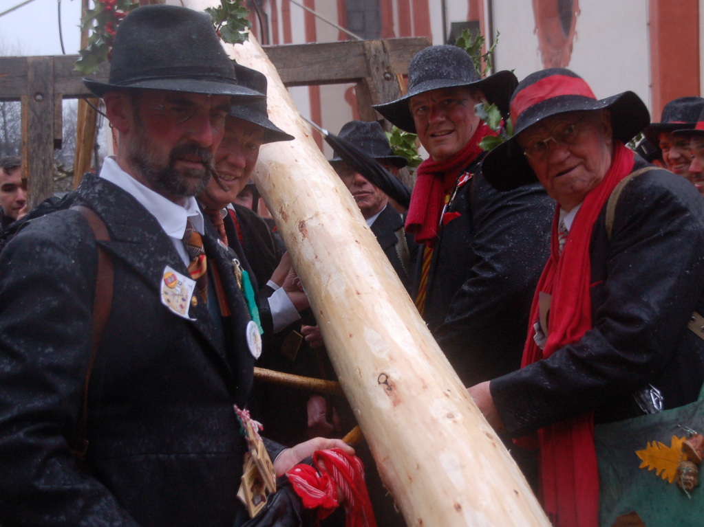 Unter den Augen zahlreichen Zaungste stellten die Wlder am 1. Faien den Narrenbaum auf dem Bad Sckinger Mnsterplatz