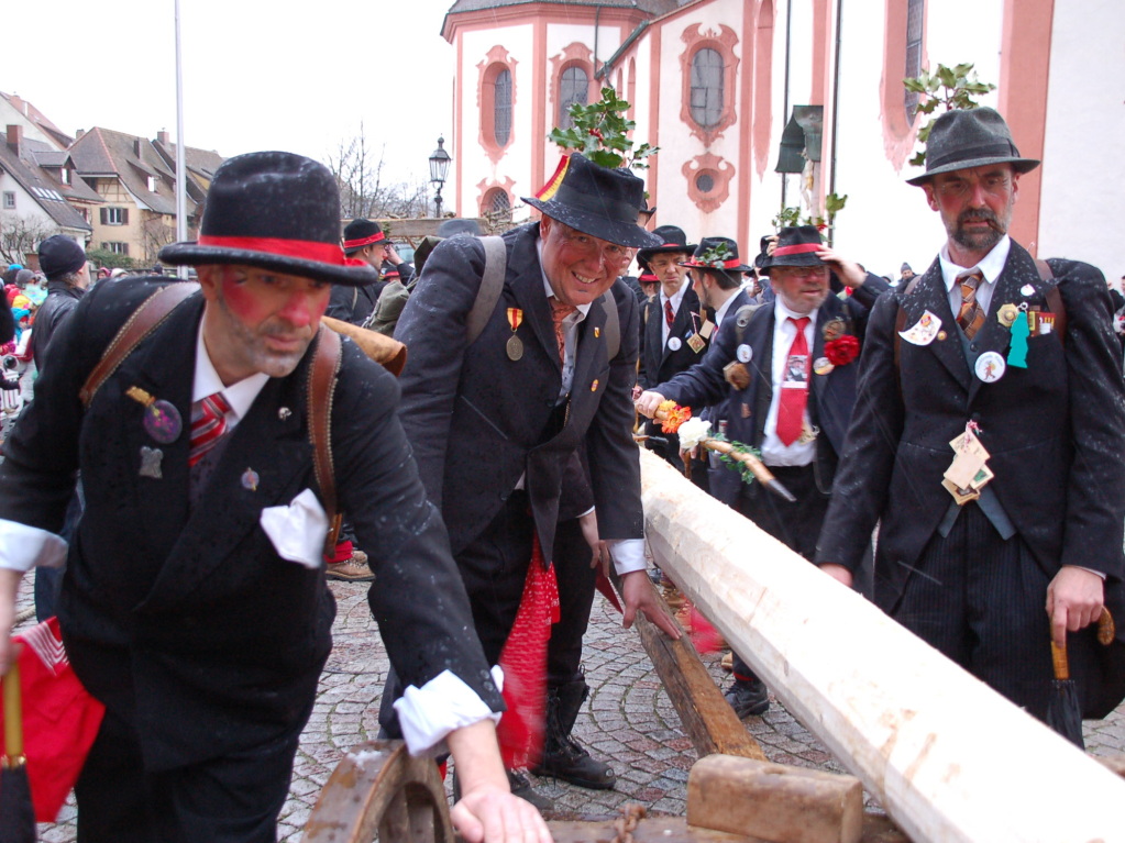 Unter den Augen zahlreichen Zaungste stellten die Wlder am 1. Faien den Narrenbaum auf dem Bad Sckinger Mnsterplatz