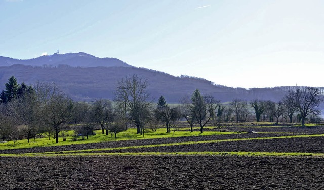 Die Landschaft des Markgrflerlands am Fu des Blauens   | Foto: Umiger