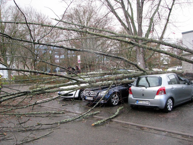 In Bad Krozingen wurden mehrere Autos durch einen umgestrzten Baum  beschdigt.  | Foto: Feuerwehr Bad Krozingen