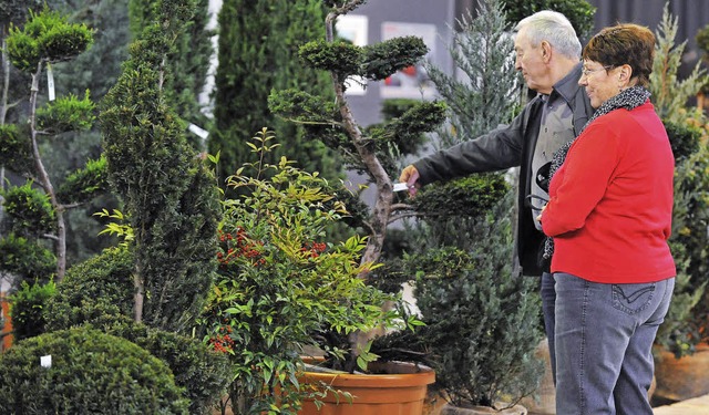 Die Neugier auf ungewhnliche Pflanzen stillen kann man auf der  Gartenmesse.  | Foto: rita eggstein