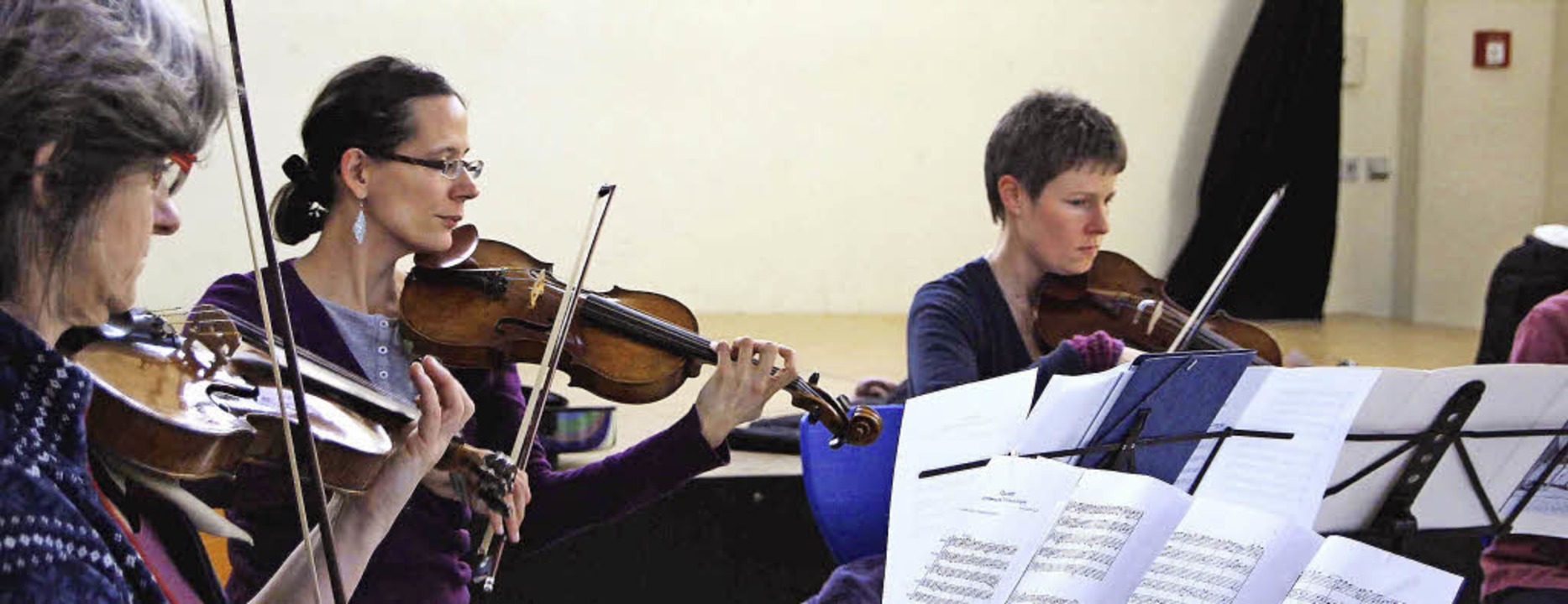 Musiklehrer geben in Hausen ein Kammermusikkonzert.   | Foto: ZVG