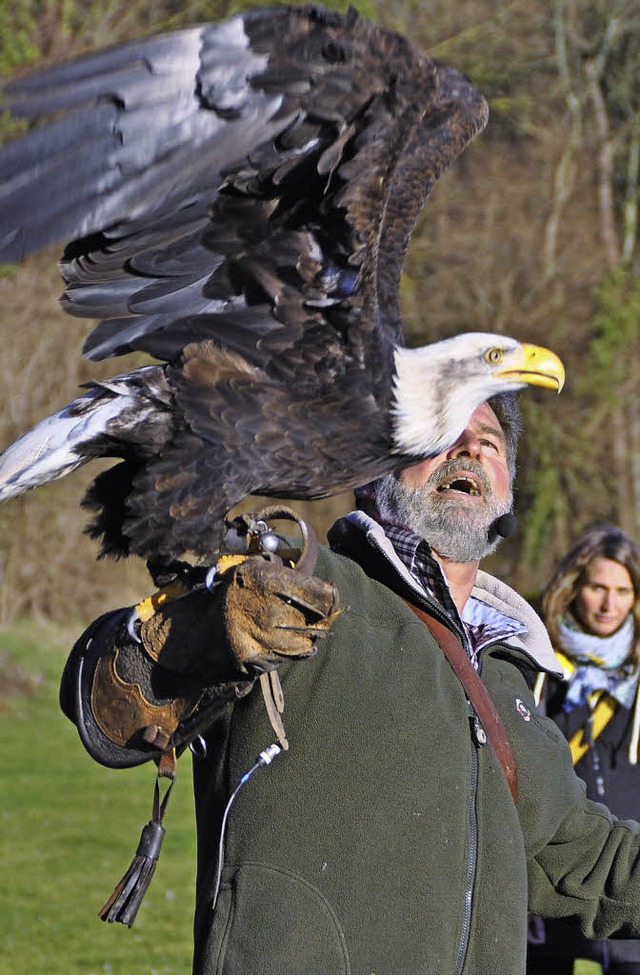 Imposant: Falkner Ruchlak mit einem We...r Junge bt sich als Nachwuchsfalkner.  | Foto: Julius Steckmeister