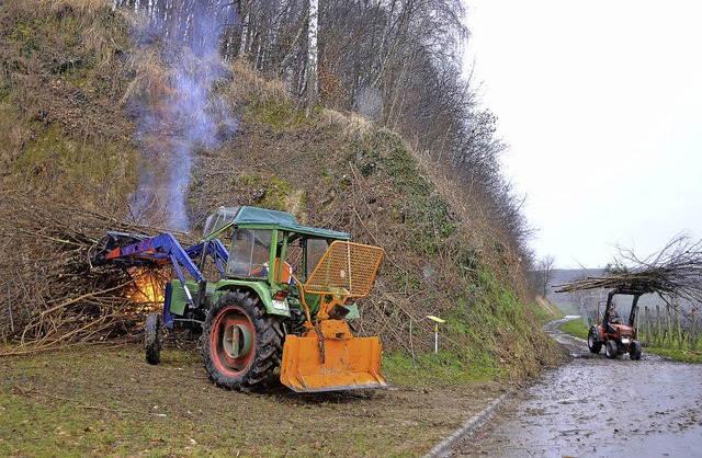 Leiselheim.  Eine wesentliche Arbeitse...hungspflegetag eingesetzten Bulldozer.  | Foto: Roland Vitt