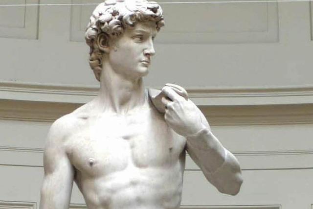 Michelangelo: Der Meister aller Klassen