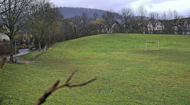 Der grne Bolzplatz am Rande von Heidach II.   | Foto: Frank Kiefer